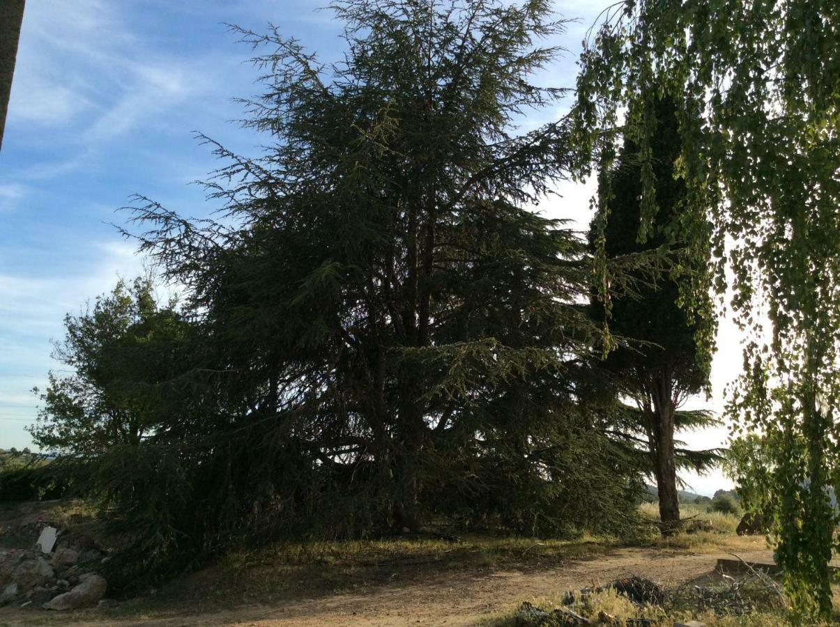 La Caseta Vella Falset Buitenkant foto